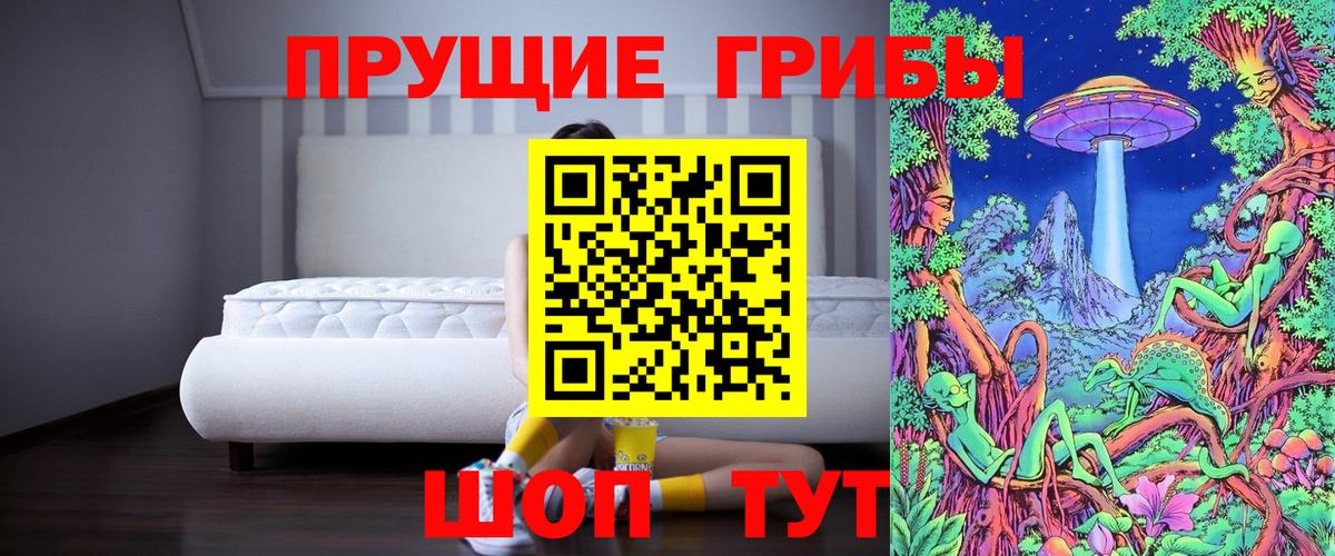 Псилоцибиновые грибы прущие грибы Павлово