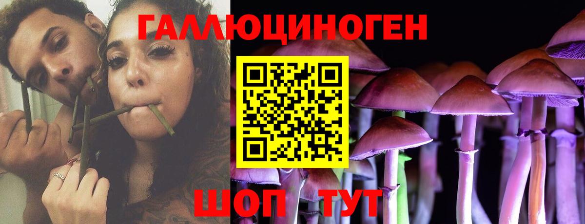 Павлово  Псилоцибиновые грибы прущие грибы  Вход с VPN 